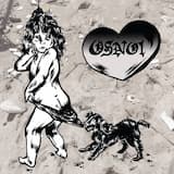 how to dress as human