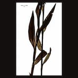 Introduksjon – Denne forunderlige by