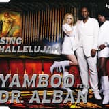 Sing Hallelujah (radio version)