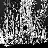 Mysteries of the Setting Sun