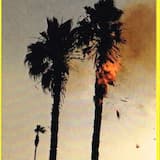 You Are Eating My Face