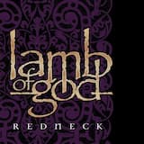 Redneck (clean version)