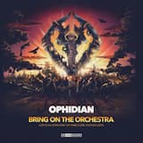 Bring On the Orchestra (original mix)