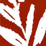 Spinning Makes Me Dizzy