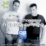 Never After (Kenneth Thomas remix)