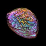 雀舌 Bird's Tongue