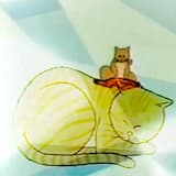 Cold Nights / Totally You Theory