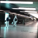 Little Millie’s Porcini Garden