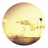 Look What I've Found