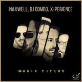 Magic Fields (radio mix)