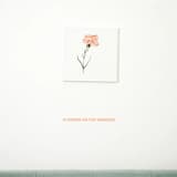 Flowers on the Weekend