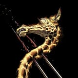 Reproductions of Reproductions