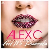 Feed Me Diamonds (Video Mix)