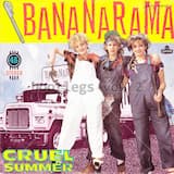 Let the Groove Get In