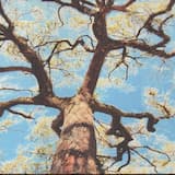 Your Goat Is on Fire