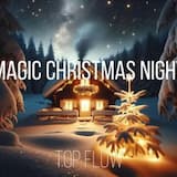 Magic Christmas Night