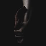 Peeled and Swathed in Vibrant Bark