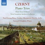 Trio brillant in C Major for Violin, Cello & Piano, Op. 211 No. 1: II. Andantino grazioso