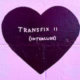 transfix ii (interlude)