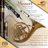 Horn Concerto no. 1 in D, K. 386b: Allegro K. 514