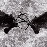 Ex bellis bella seruntur