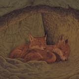 Silently Observing the Passing of Time