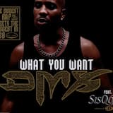 What You Want (radio edit)