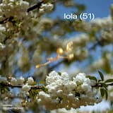 lola (51)
