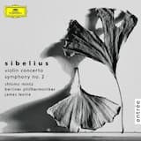 Violin Concerto in D minor, op. 47: Allegro moderato