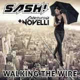 Walking The Wire (Original Radio Edit)