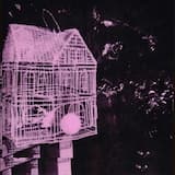 Without Hope You Tell Lies