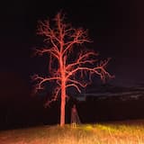 No Hate Like Christian Love