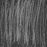 flames lick your eardrums