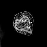 To Those Undead Spirits