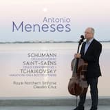 Cello Concerto in A minor, op. 129: I. Nicht zu schnell