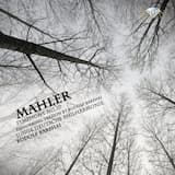 Symphony no. 10: I. Adagio