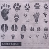 These Boots Are Made For Walkin'