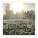 Stalagmites and Stalactites