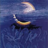 Raining Darkness of the Forestland Midnight