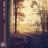 It Feels Like Autumn