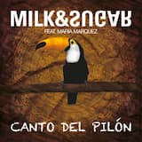 Canto del pilón (radio mix)