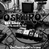 Bad Seeds (Set the World on Fire) (live demo version)