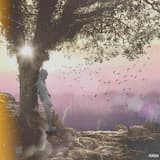 Dingaling (Lil Keed)