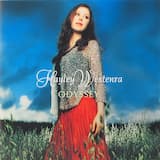 Dell'amore non si sa