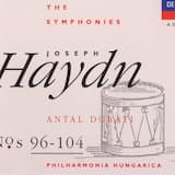 Sinfonia Concertante for Violin, Cello, Oboe & Bassoon in B-flat major, Hob I:105: I. Allegro