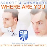 Where Are You (Dennis Sheperd remix)
