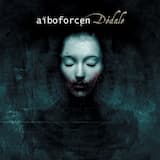 Running With The Wrong Boys