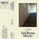 Minutia 1