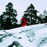 Näkyjä indigolähteeltä