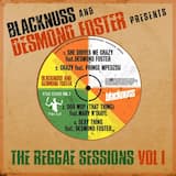She Drives Me Crazy (Blacknuss Mix)